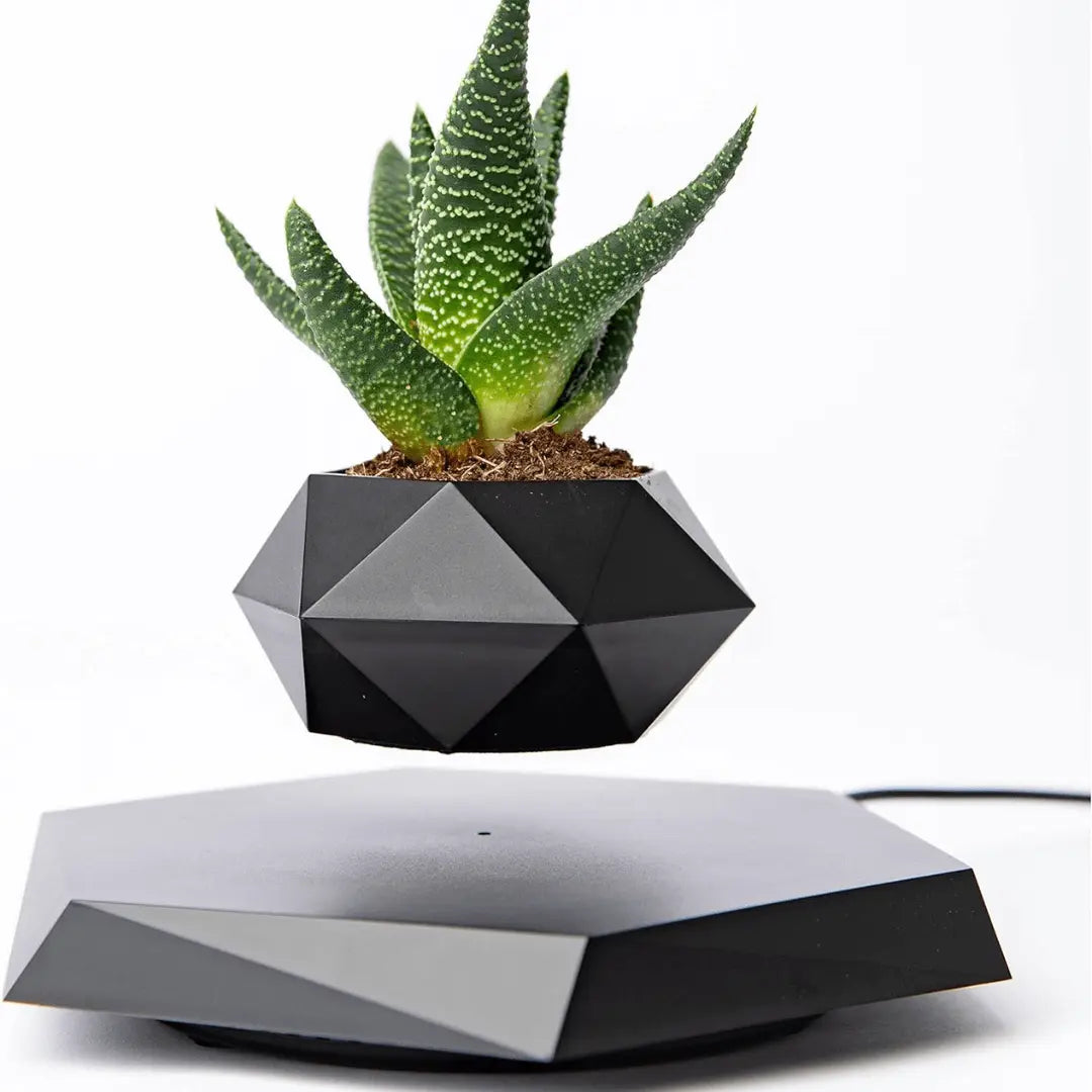 Magnetic Levitation Floating Plant Display Holder