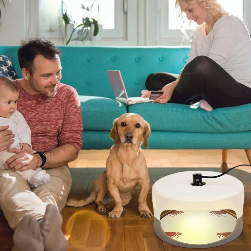 Smart Bed Bug Detection System