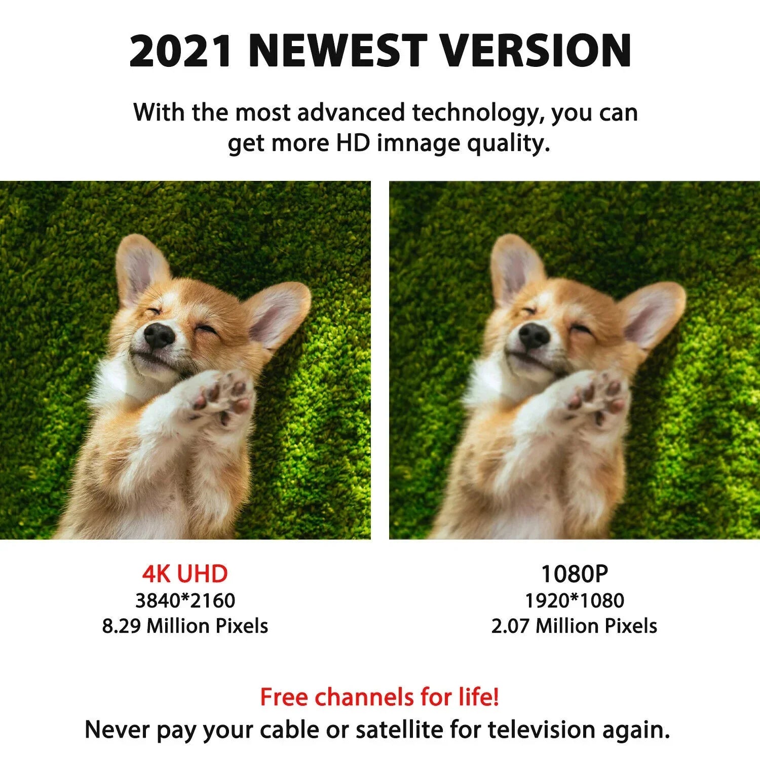 High-Performance Indoor HDTV Receiver with Signal Enhancer