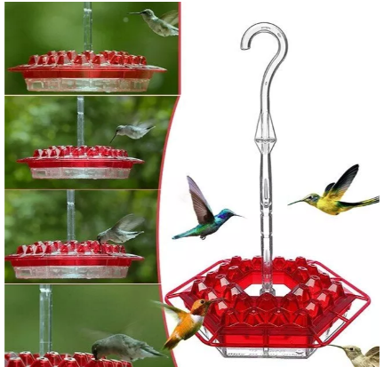 Ultimate Ant-Resistant Hummingbird Feeder with Perch