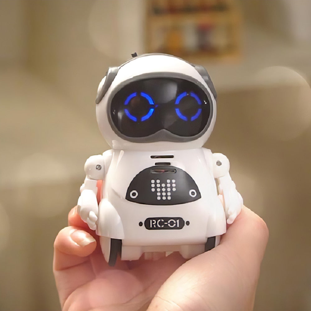 Mini Interactive Robot Companion