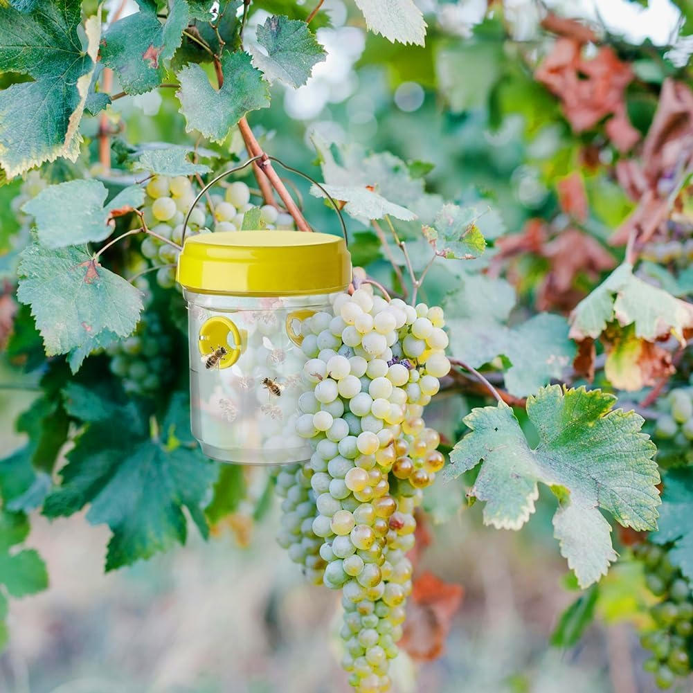 Effective Pest Control: Smart Insect Traps for Fruit Flies