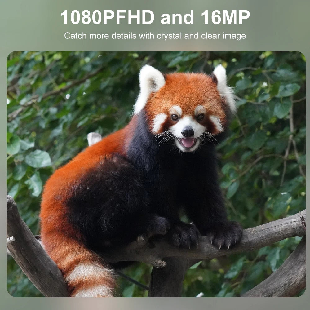 All-Weather Wildlife Surveillance Camera with Night Vision