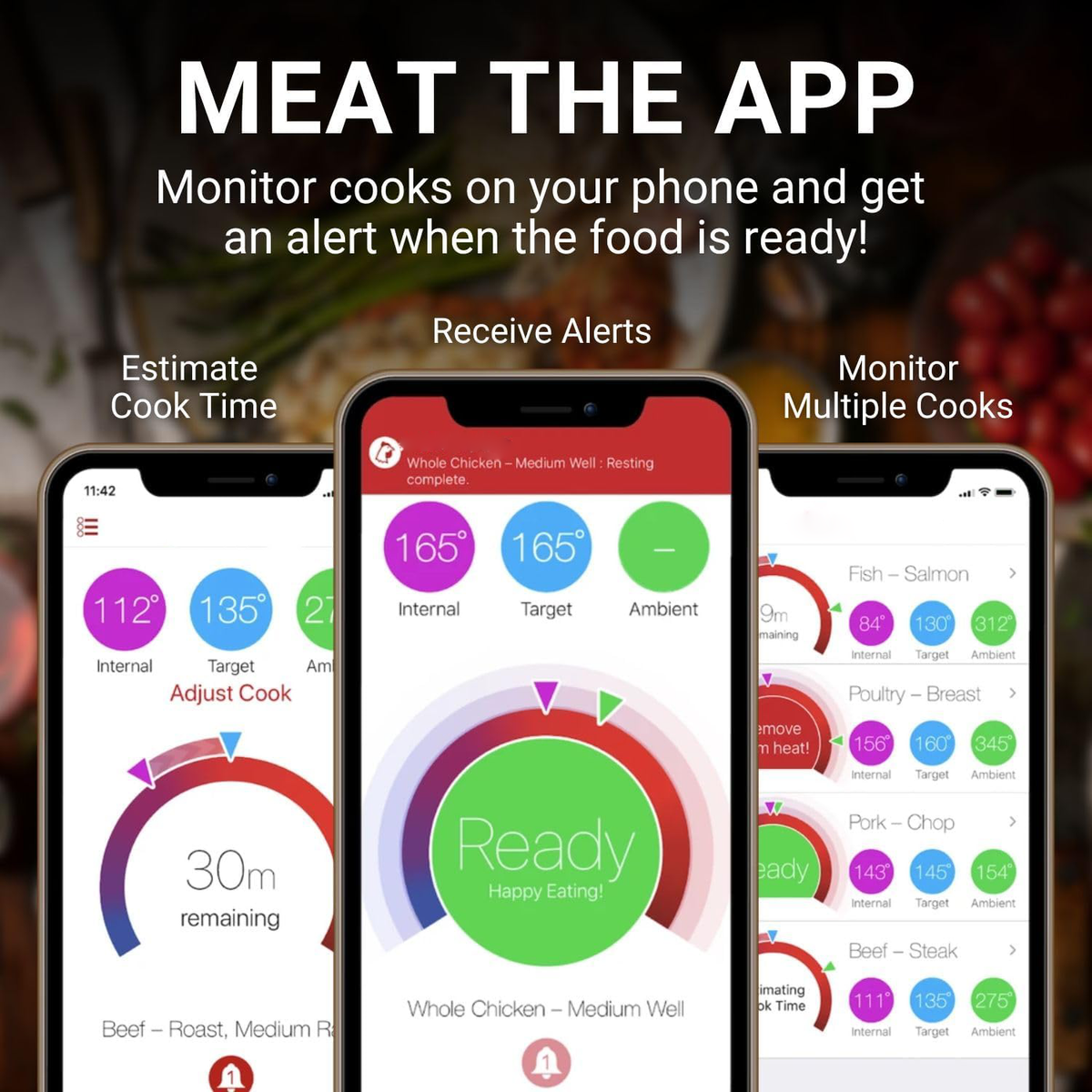 Bluetooth-Enabled Precision Cooking Thermometer