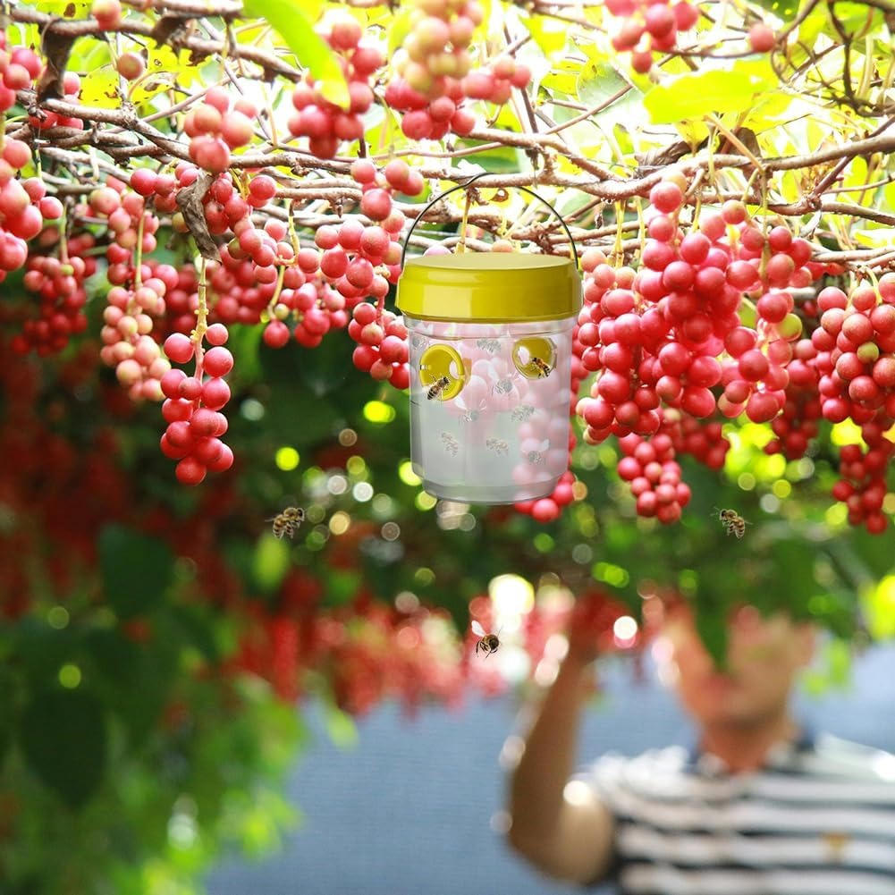 Effective Pest Control: Smart Insect Traps for Fruit Flies