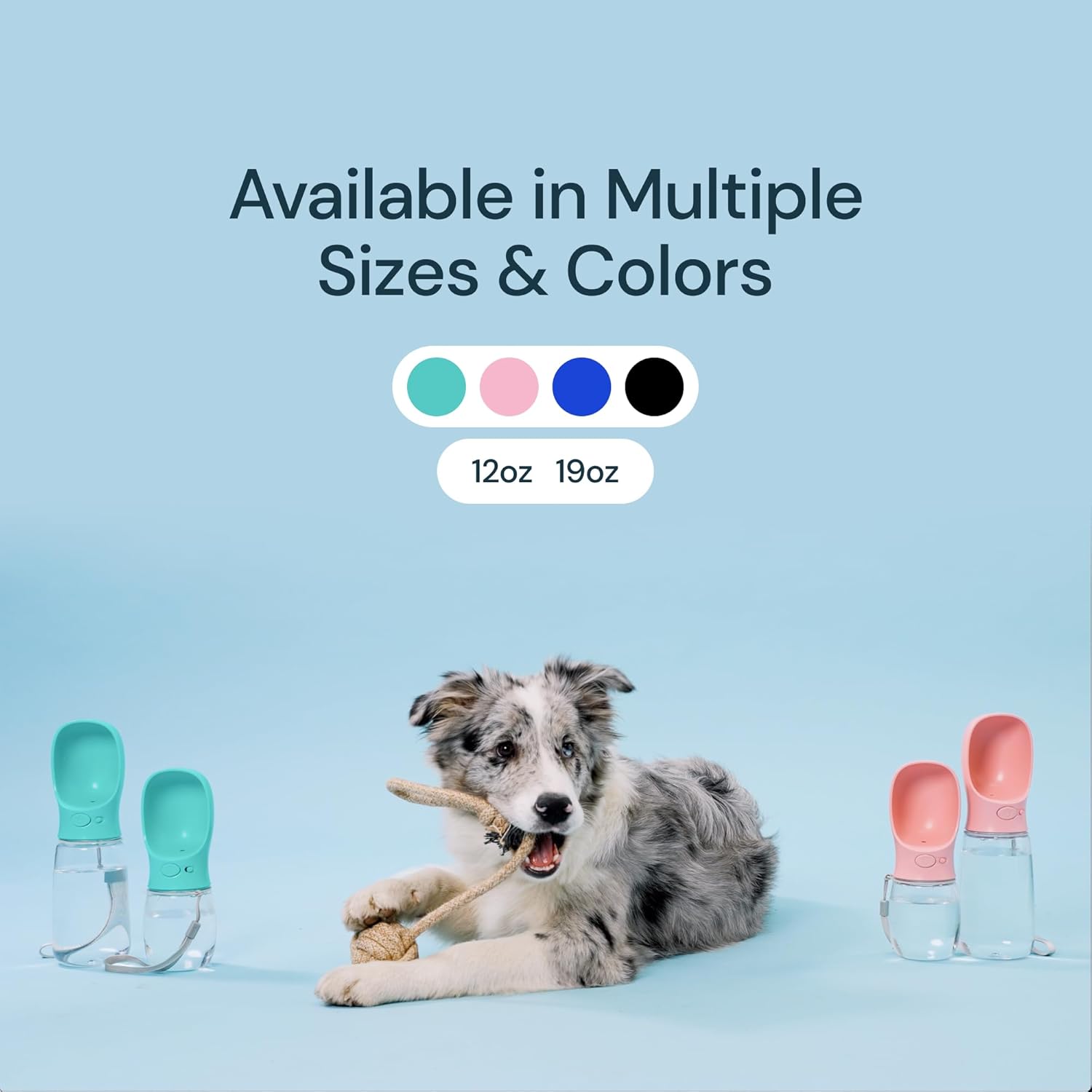 Hydration On-the-Go: 19 oz Dog Water Bottle