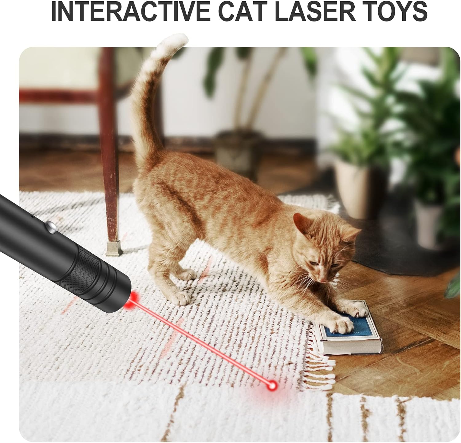 High-Performance Green Laser Pointer with Starry Effect