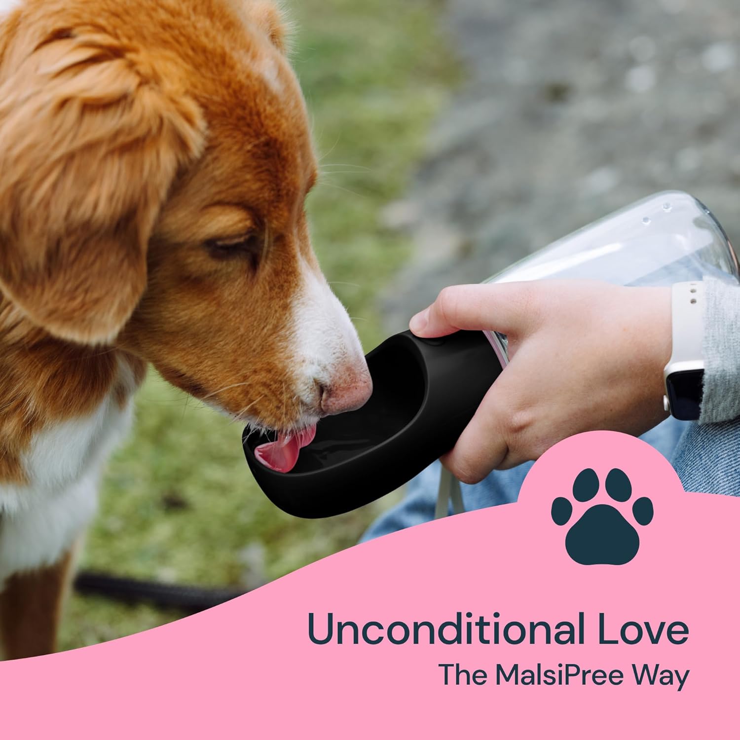 Hydration On-the-Go: 19 oz Dog Water Bottle