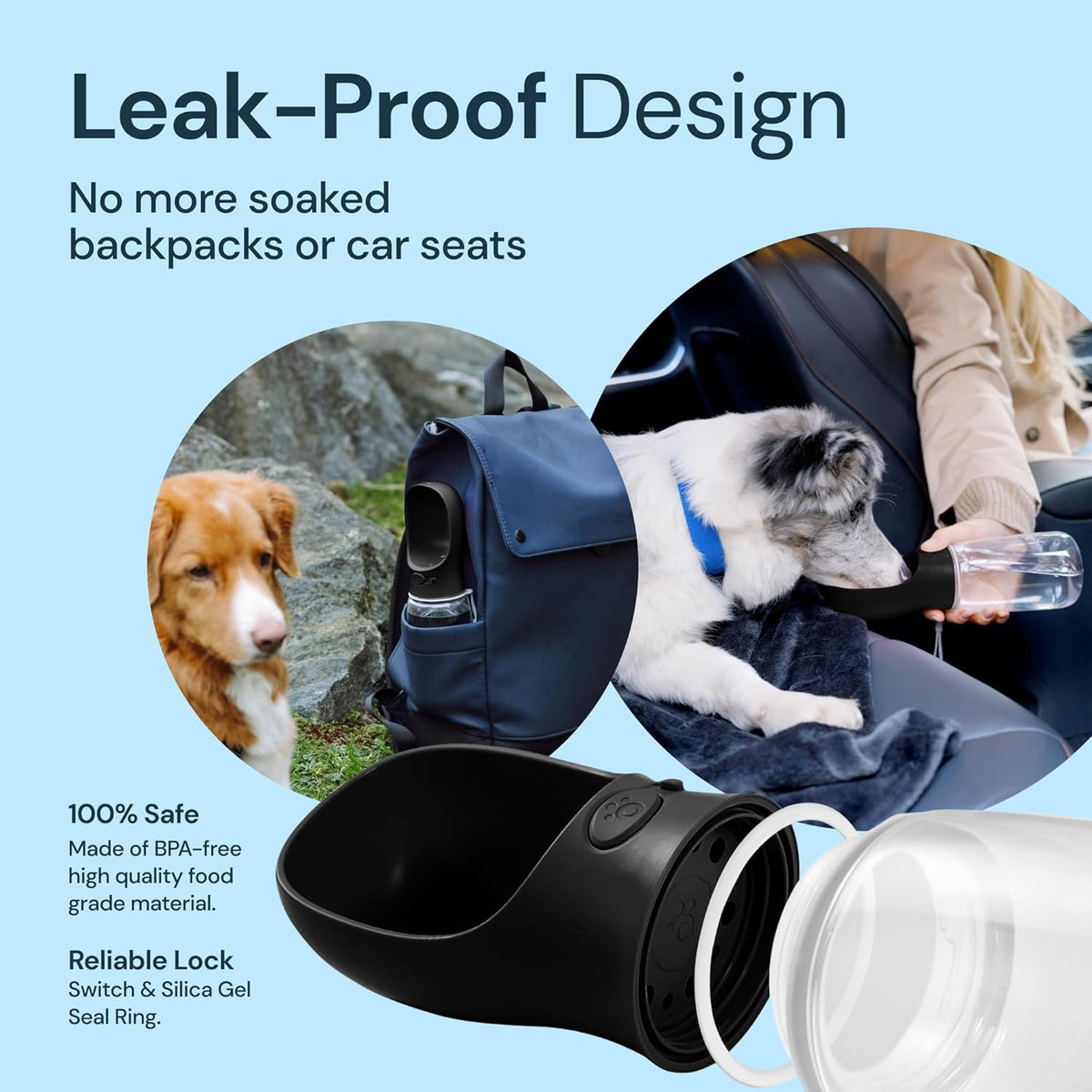Hydration On-the-Go: 19 oz Dog Water Bottle