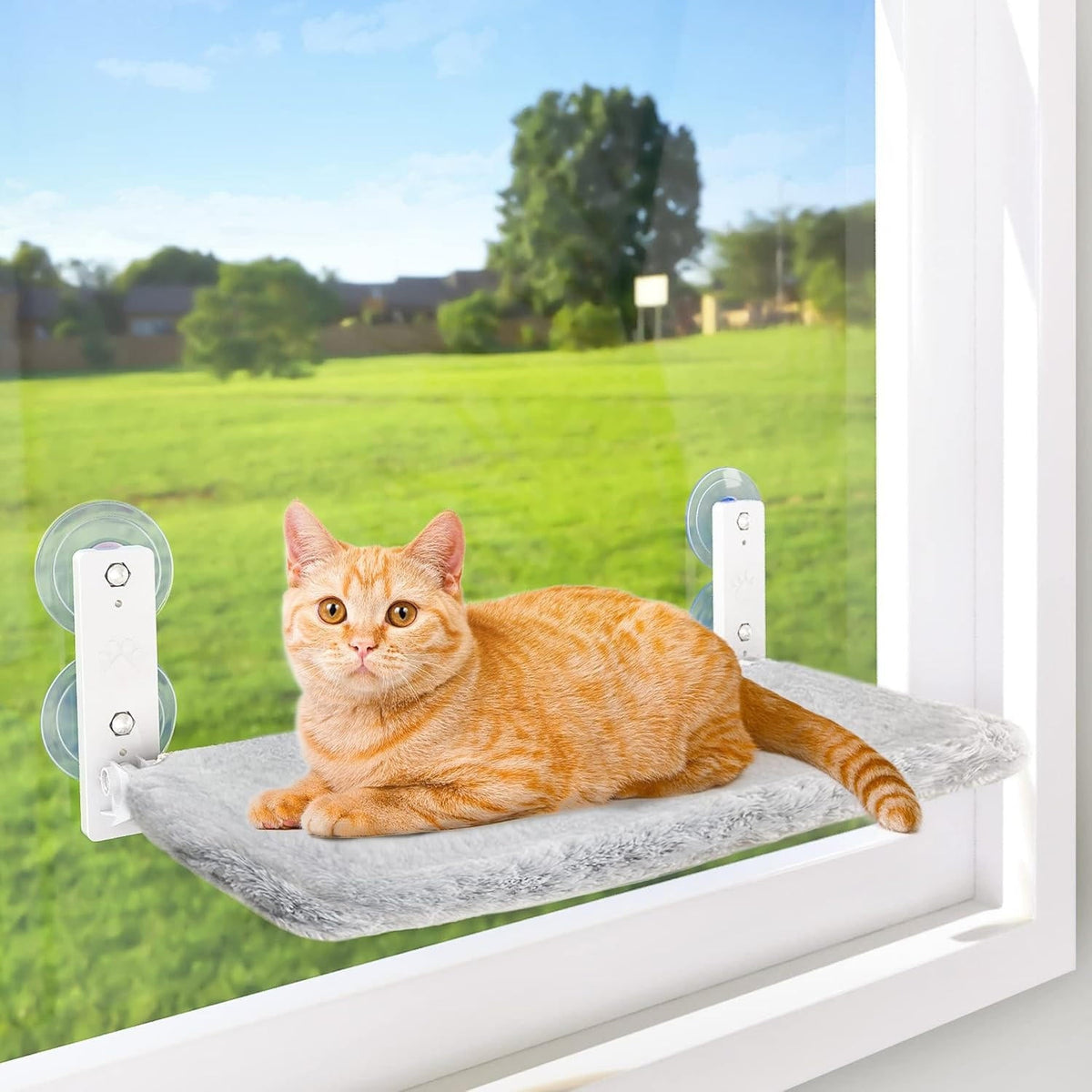 Window Perch for Cats – Ultimate Viewing Experience
