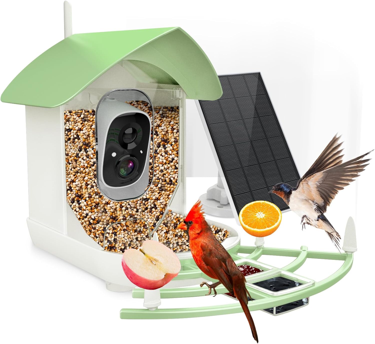 Smart Avian Capture Feeder with HD Camera