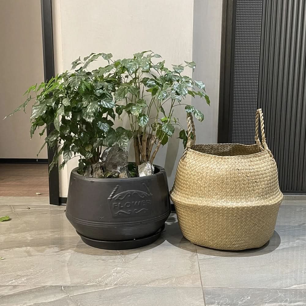 Natural Harmony – Handcrafted Seagrass Storage Basket