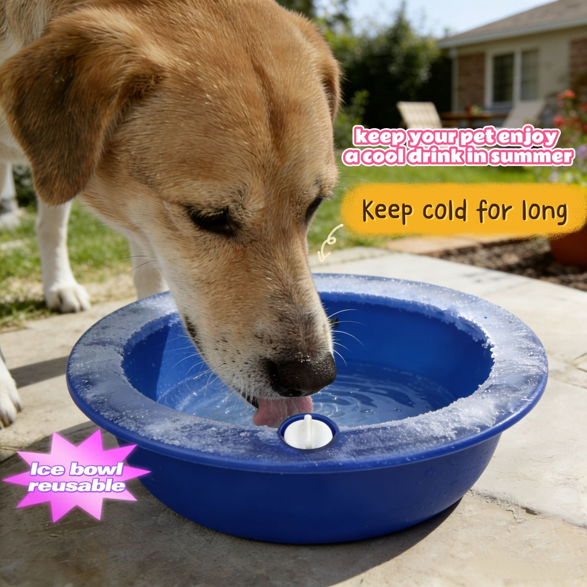 ChillWave – Ultimate Hydration Bowl for Pet Comfort
