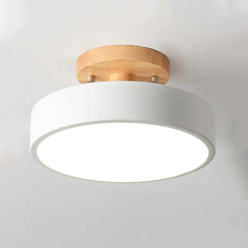 Contemporary Ceiling Light Fixture with LED Technology