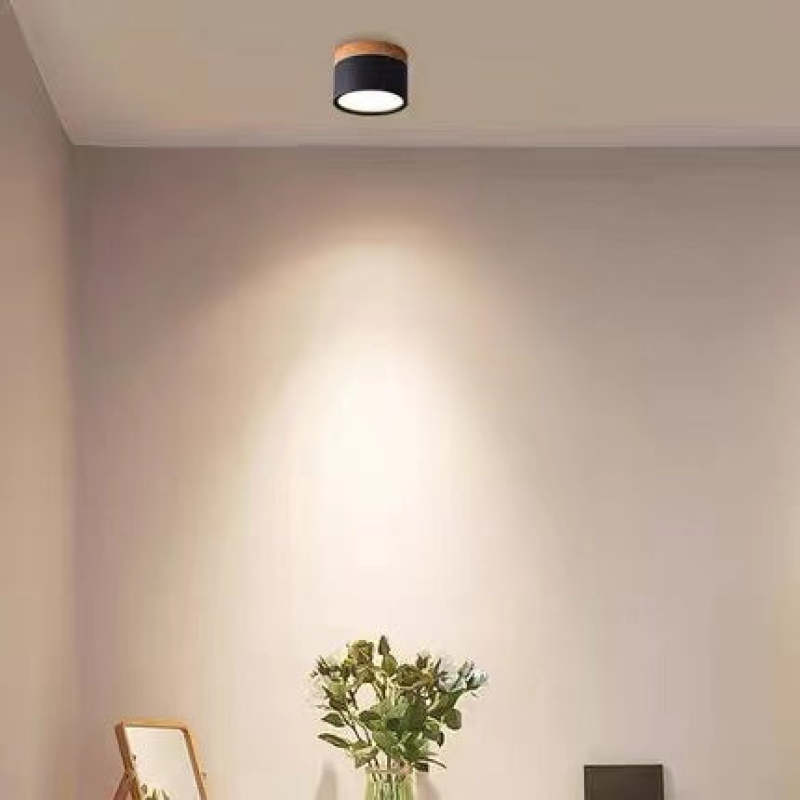 Modern LED Ceiling Light in Morandi Style