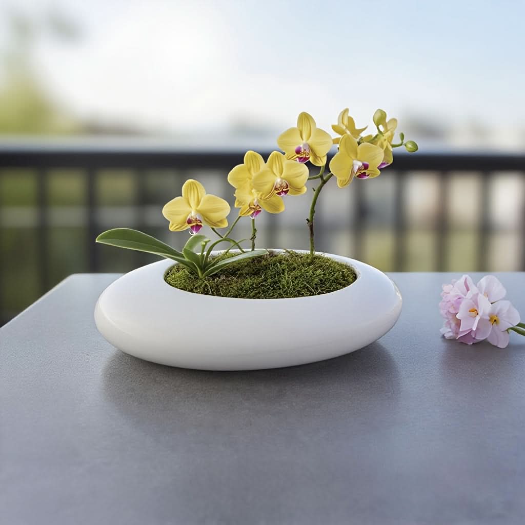 SereneStone – Artistic Shallow Ceramic Planter for Bonsai