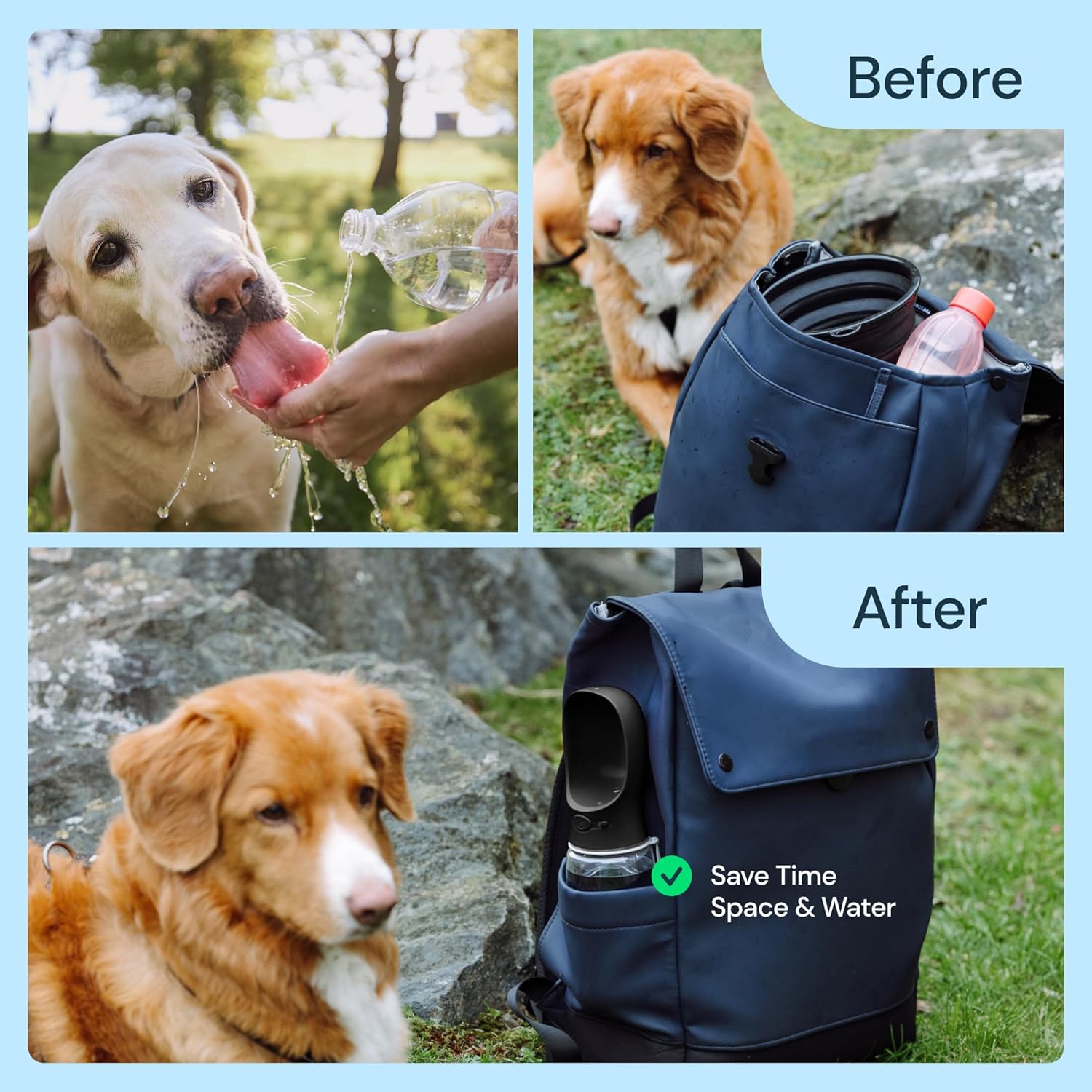 Hydration On-the-Go: 19 oz Dog Water Bottle