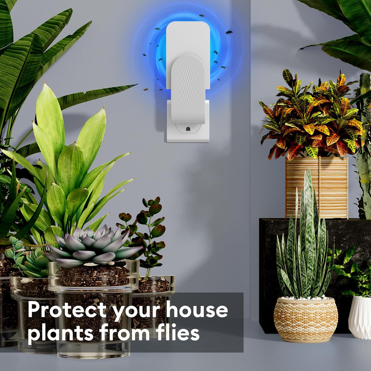 Quiet Insect Catcher for Indoor Spaces