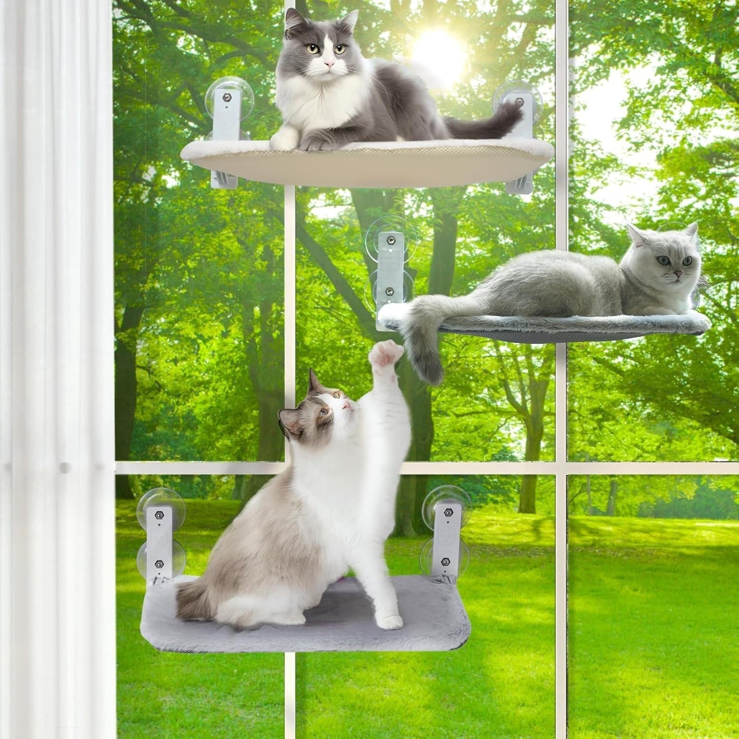 Window Perch for Cats – Ultimate Viewing Experience