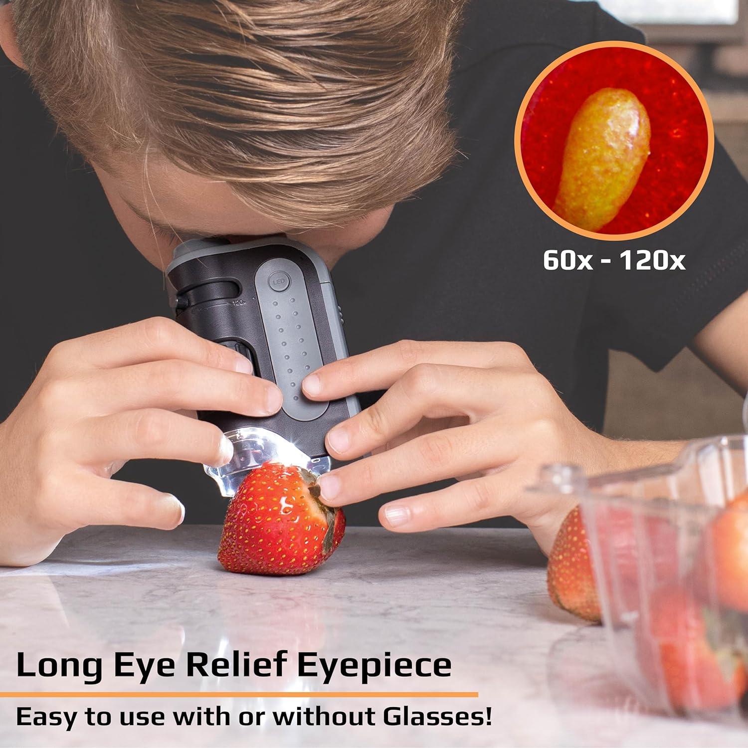 Compact Explorer Microscope with LED Illumination
