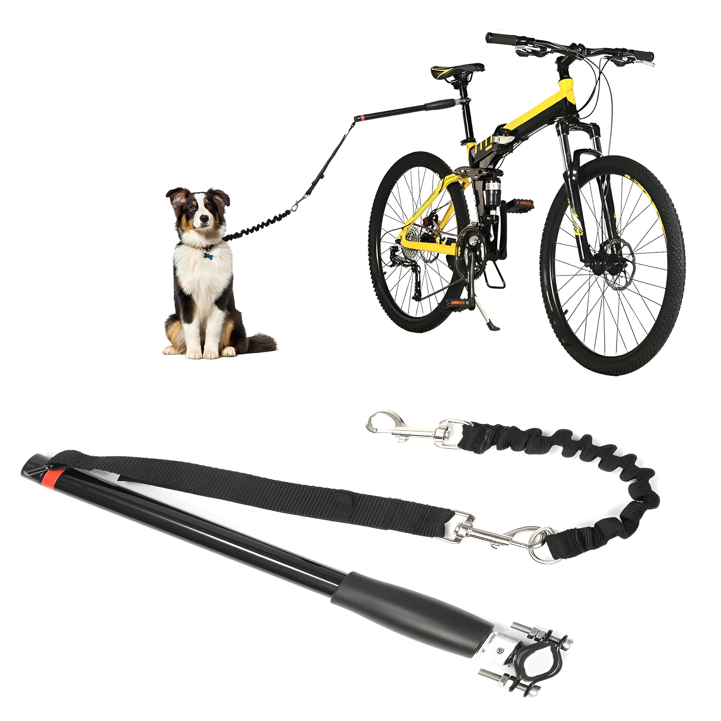 Pet Companion Bike Tow Leash System