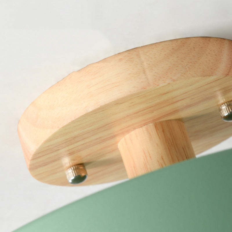 Contemporary Ceiling Light Fixture with LED Technology