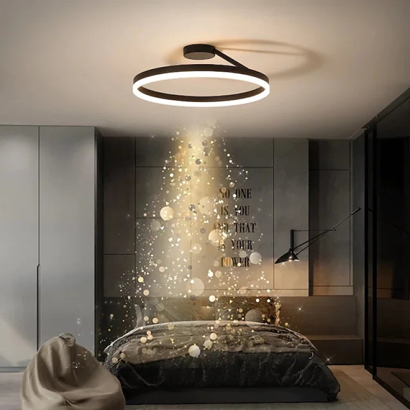 Contemporary LED Ceiling Light Fixture