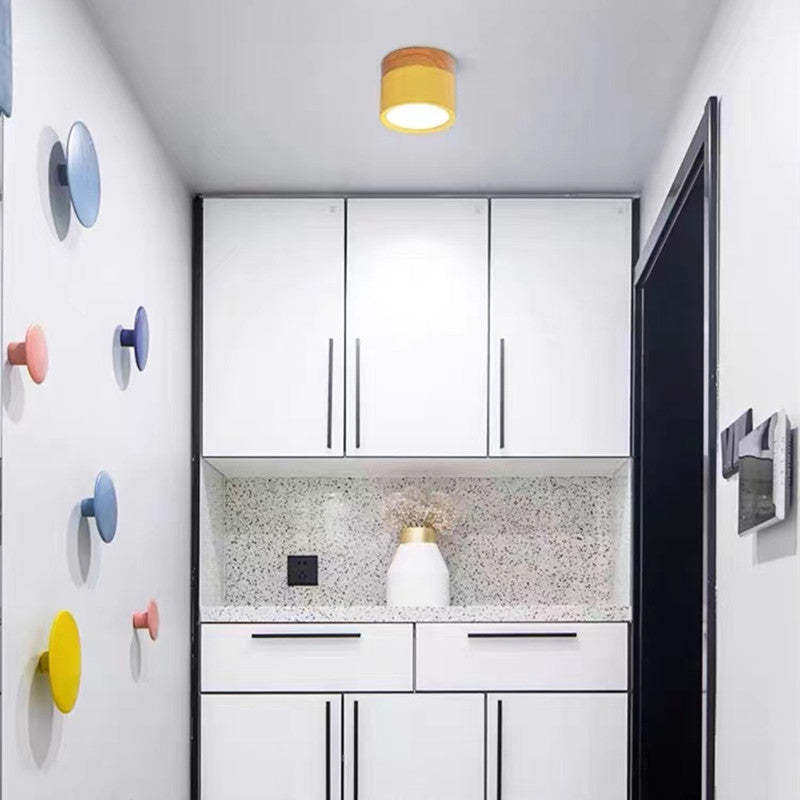 Modern LED Ceiling Light in Morandi Style