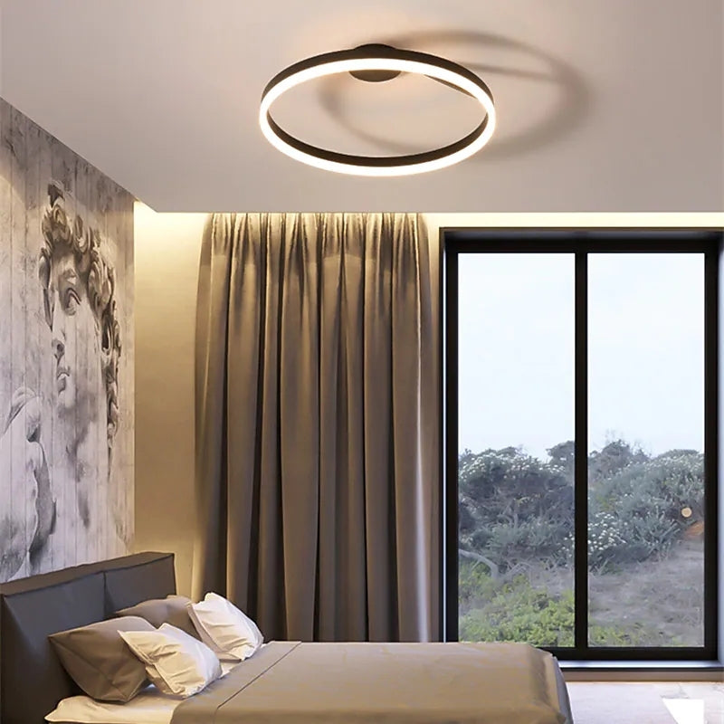 Contemporary LED Ceiling Light Fixture