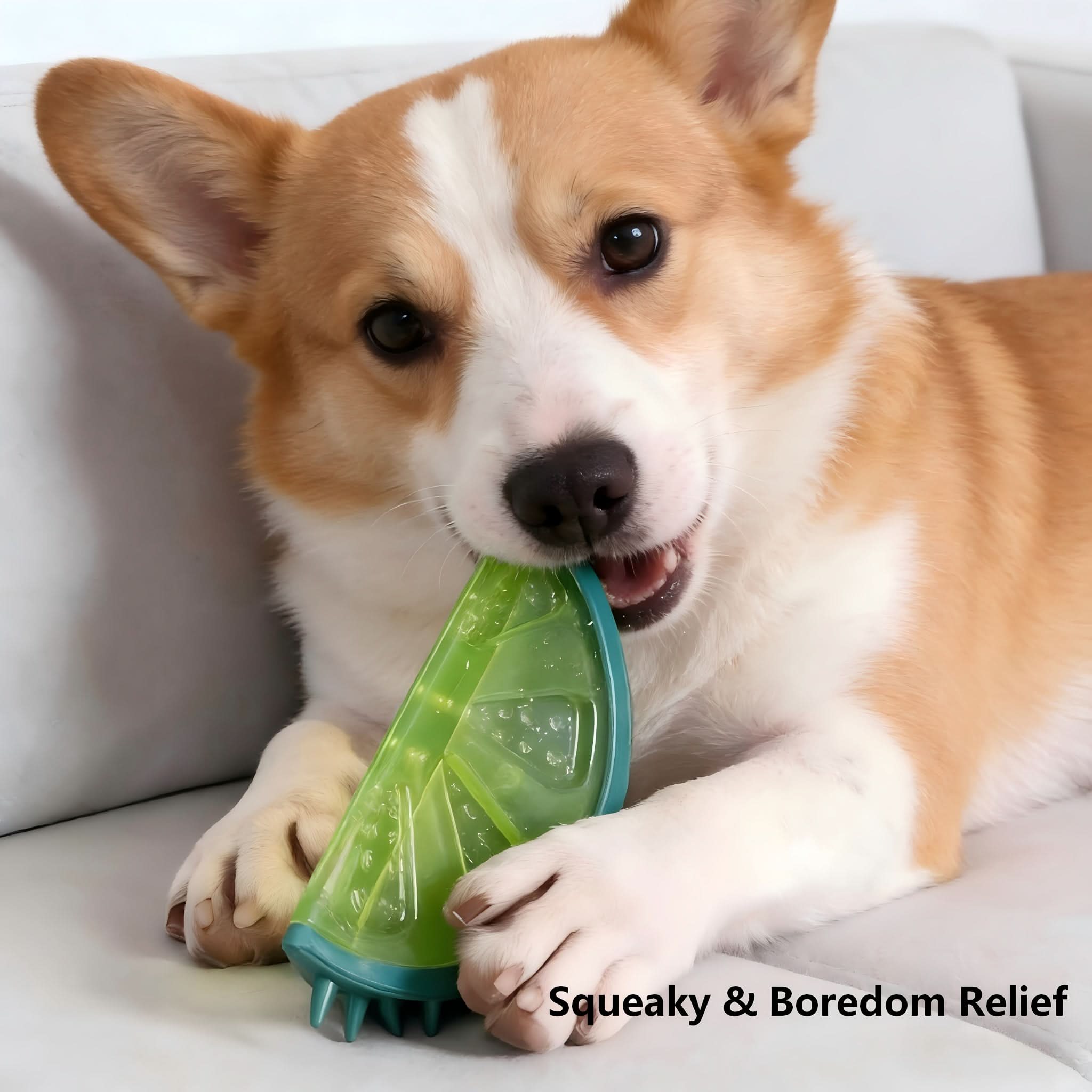 ChillQuest – Interactive Frozen Puzzle Toys for Dogs