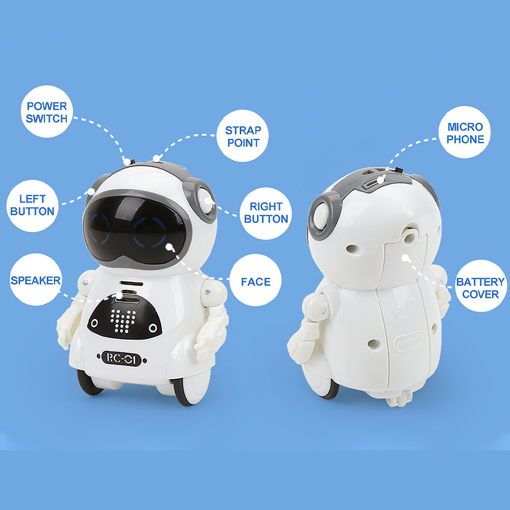 Mini Interactive Robot Companion