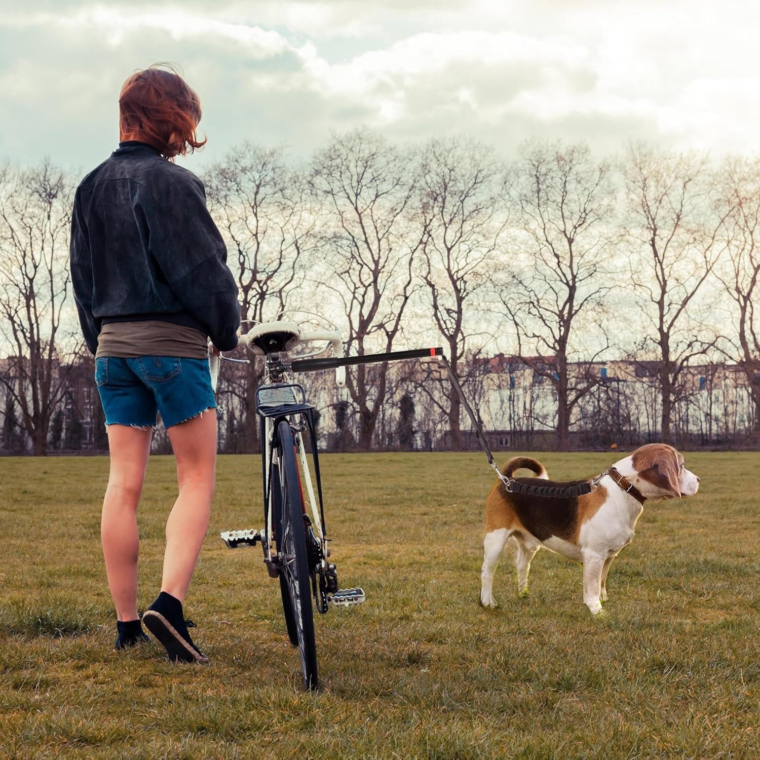 Pet Companion Bike Tow Leash System
