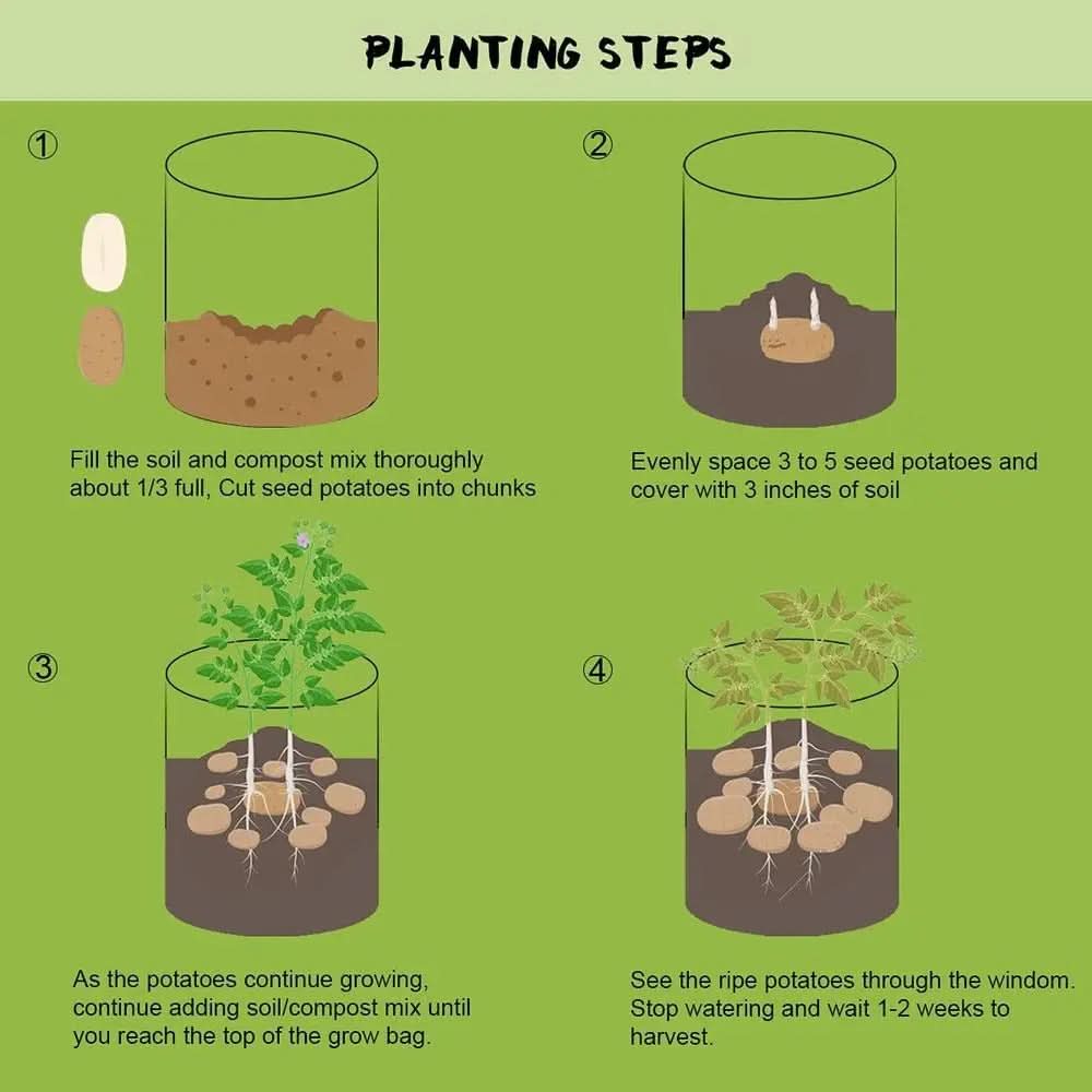 EcoGrow Fabric Planter Bags for Effortless Gardening