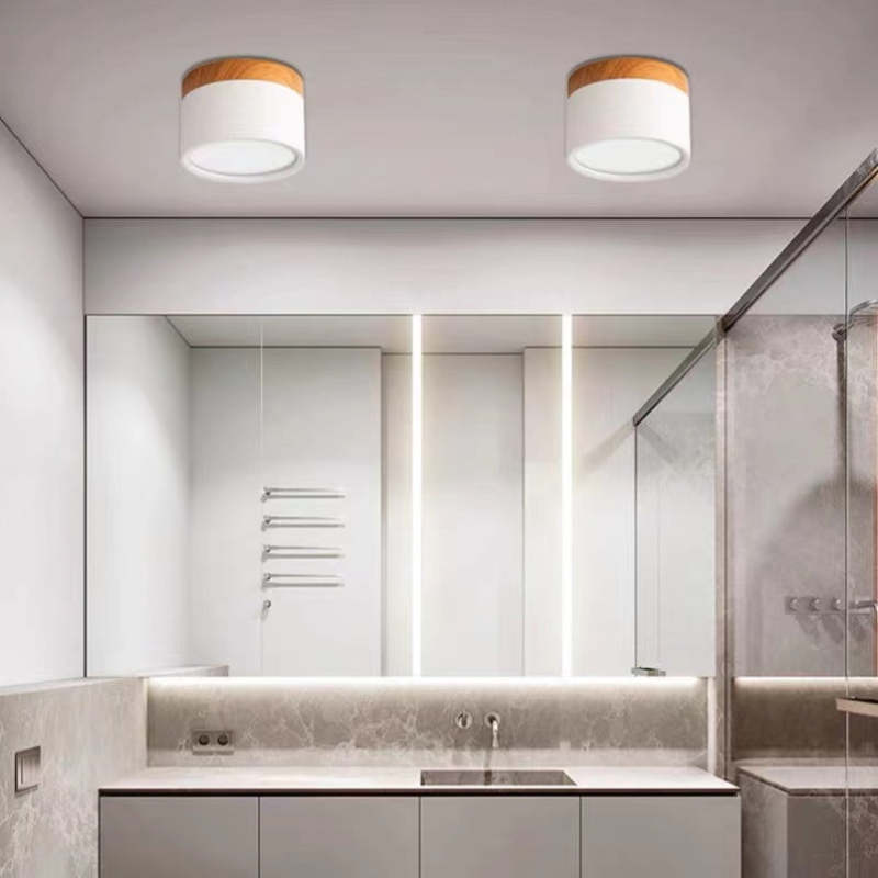 Modern LED Ceiling Light in Morandi Style