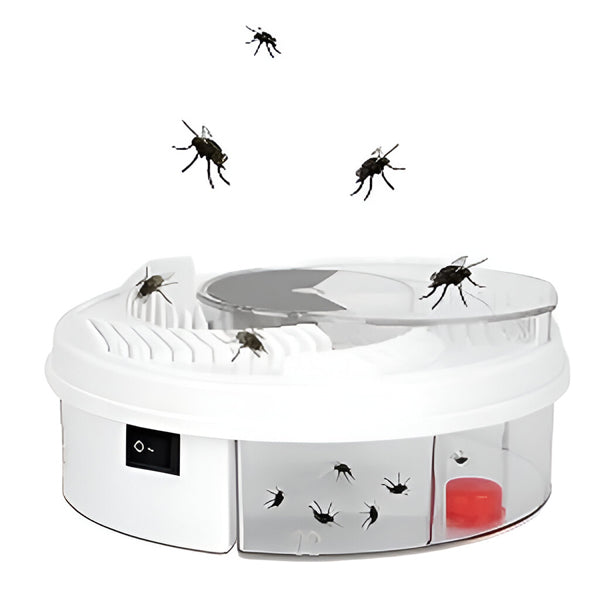 Eco-Friendly Insect Catcher for Home and Office