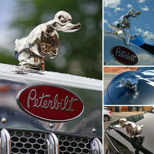 Quirky Duck Ornament | Chrome Radiator Emblem for Cars