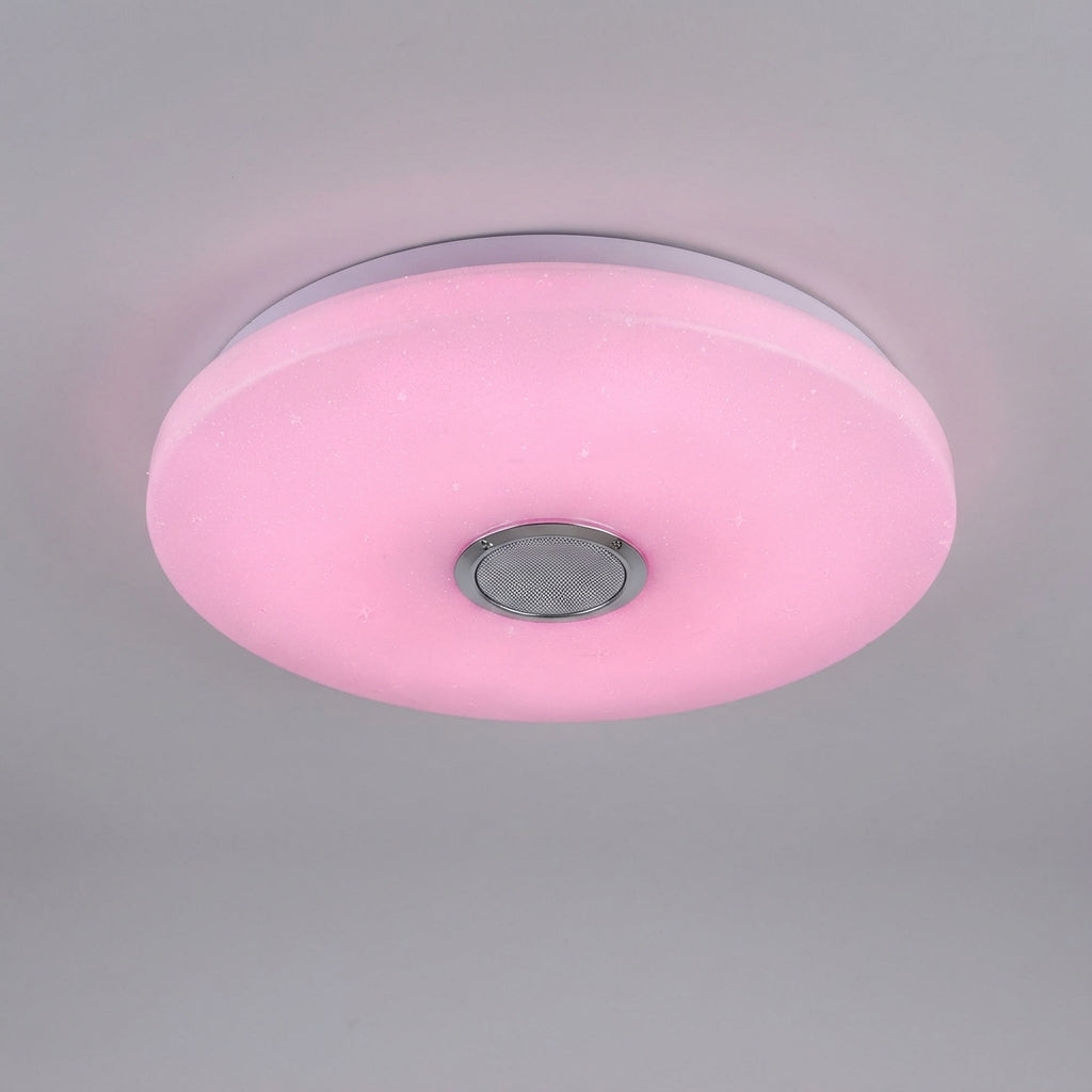 Smart Ceiling Light with App Control