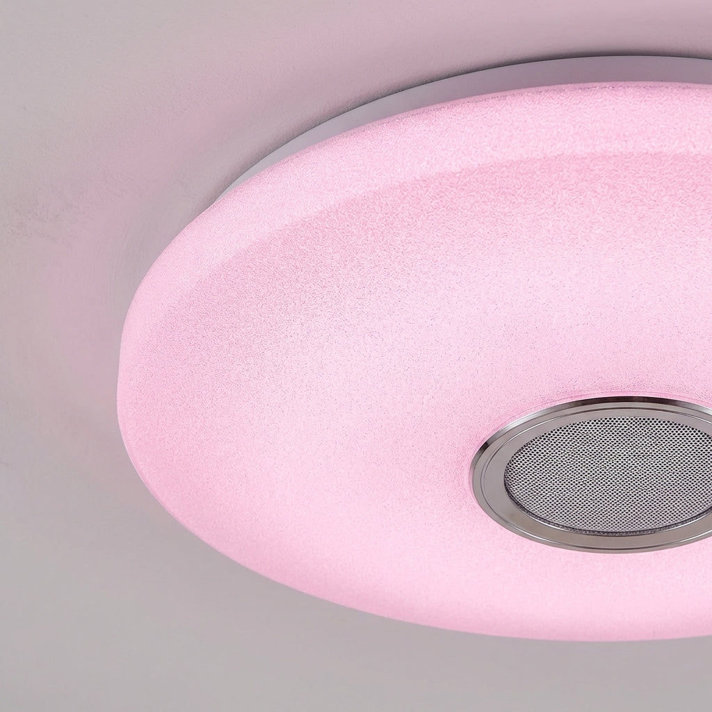 Smart Ceiling Light with App Control