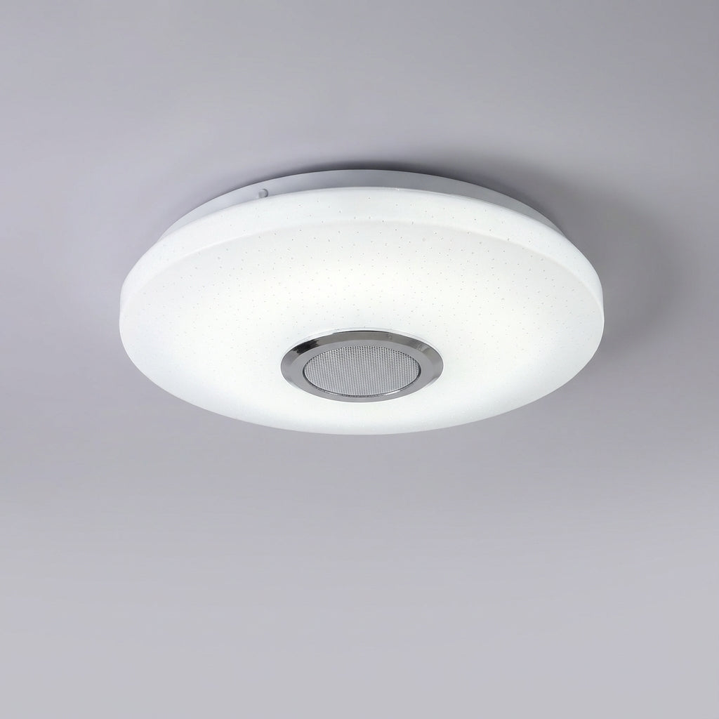 Smart Ceiling Light with App Control