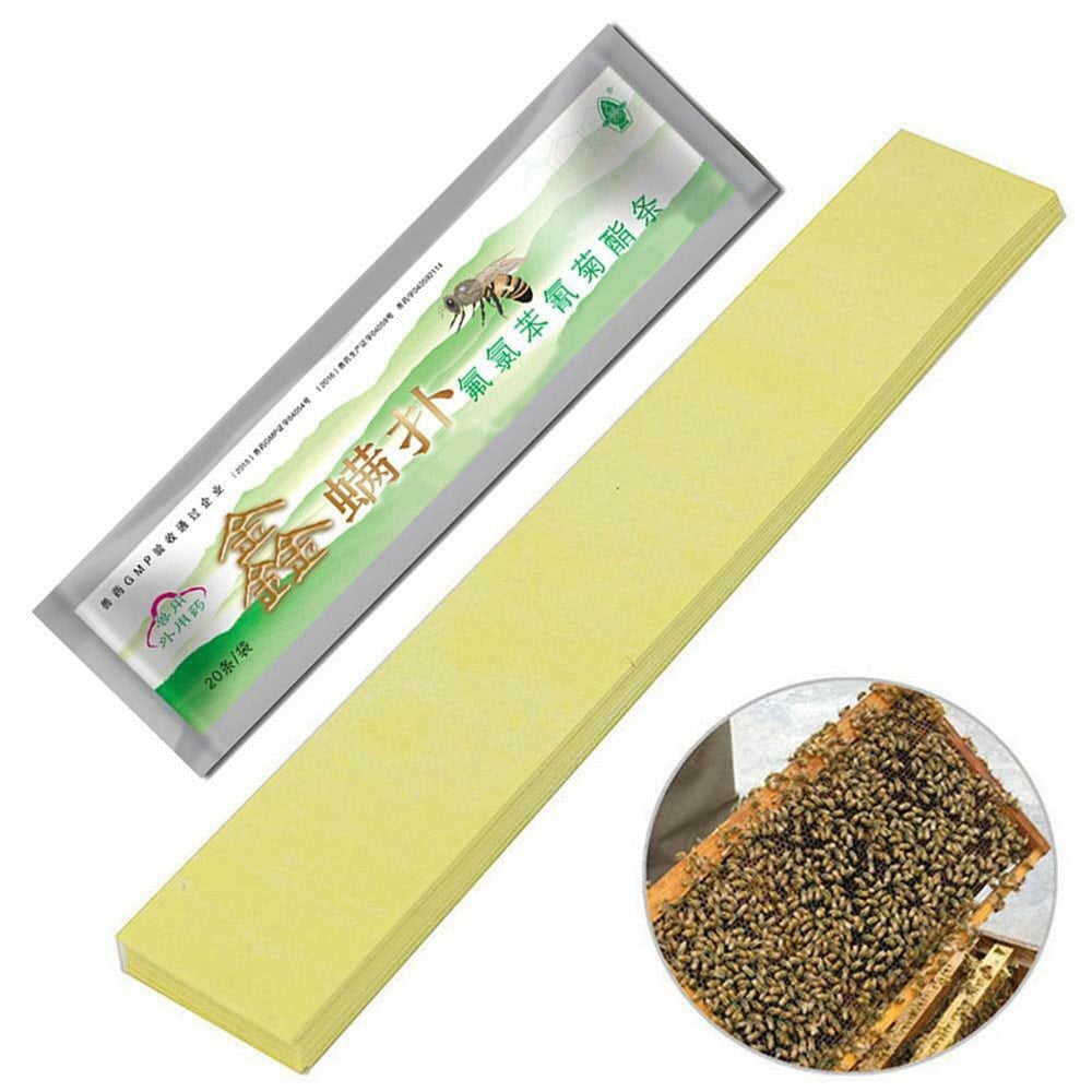 20-Pack of EcoGuard Mite Control Strips for Beekeeping
