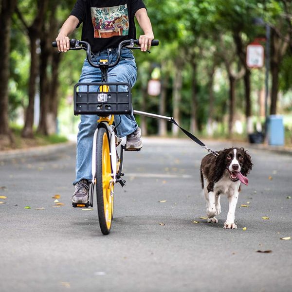 Reliable Dog Bicycle Safety Harness for Adventurous Rides