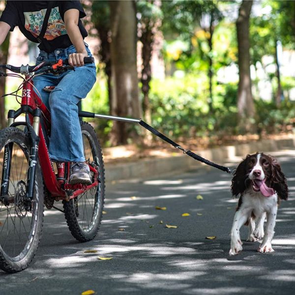 Reliable Dog Bicycle Safety Harness for Adventurous Rides