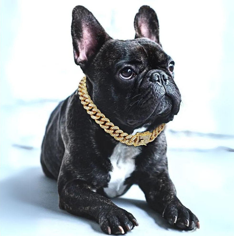 GlamourPaws | Luxurious Diamond-Styled Dog Collar with Secure Fit