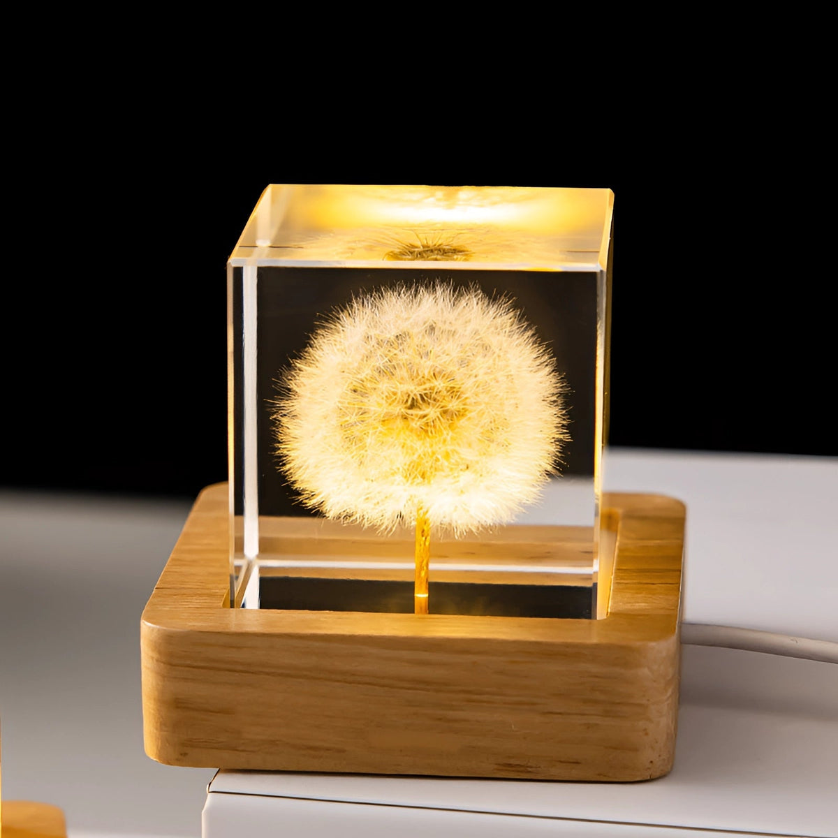 Dandelion Glow Lamp | LED Illuminated Botanical Decor