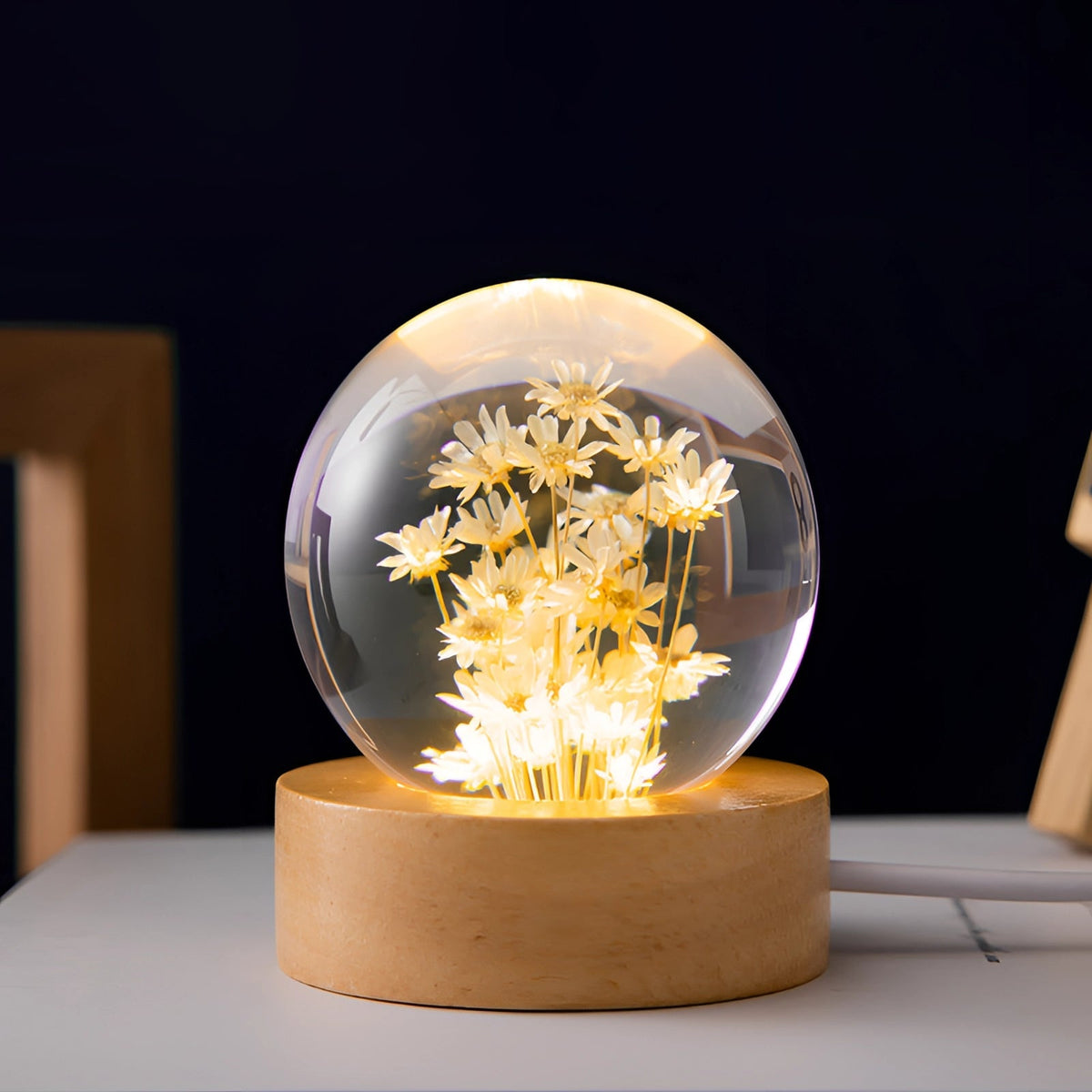 Dandelion Glow Lamp | LED Illuminated Botanical Decor