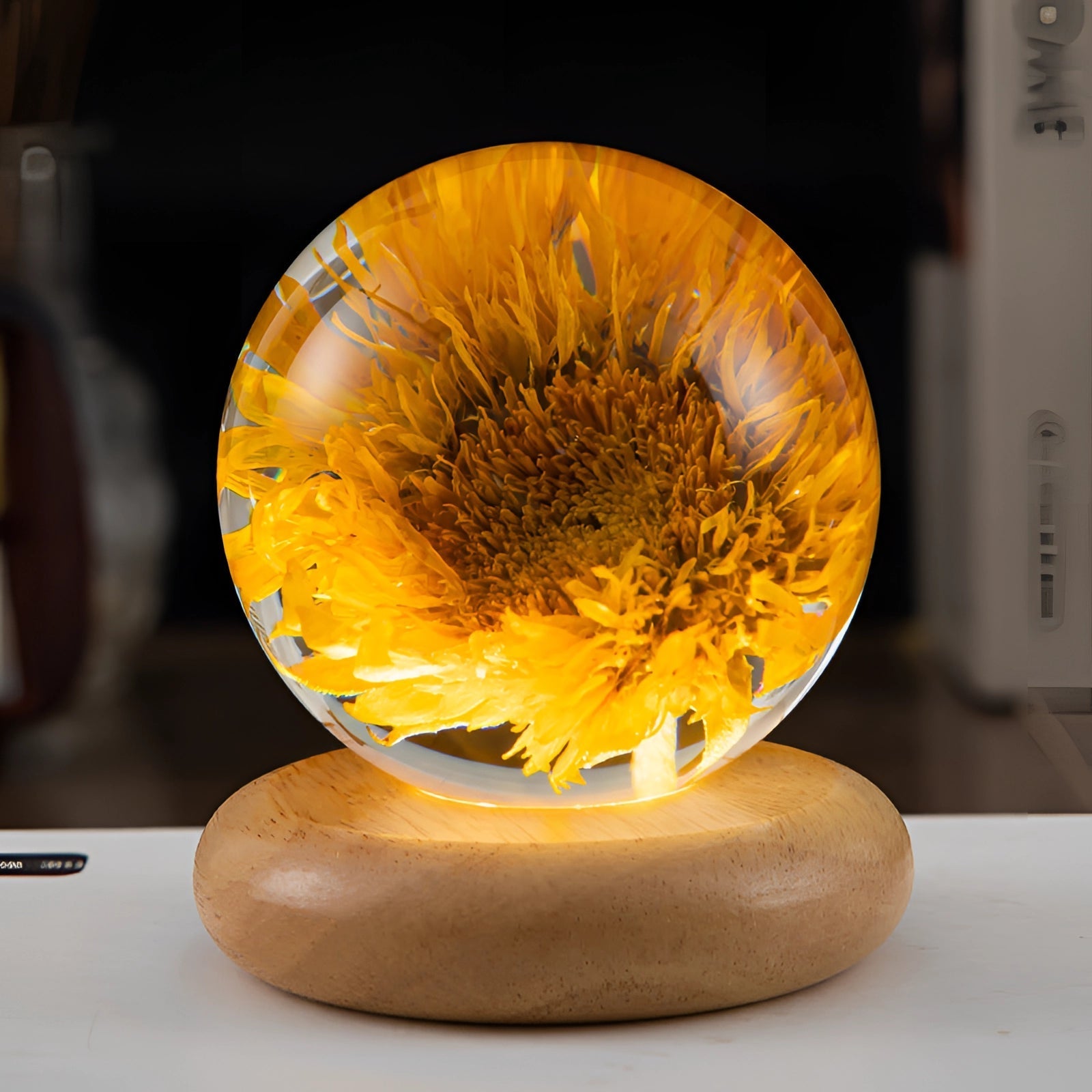 Dandelion Glow Lamp | LED Illuminated Botanical Decor