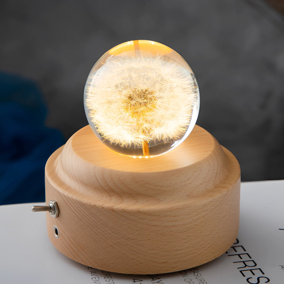 Dandelion Glow Lamp | LED Illuminated Botanical Decor
