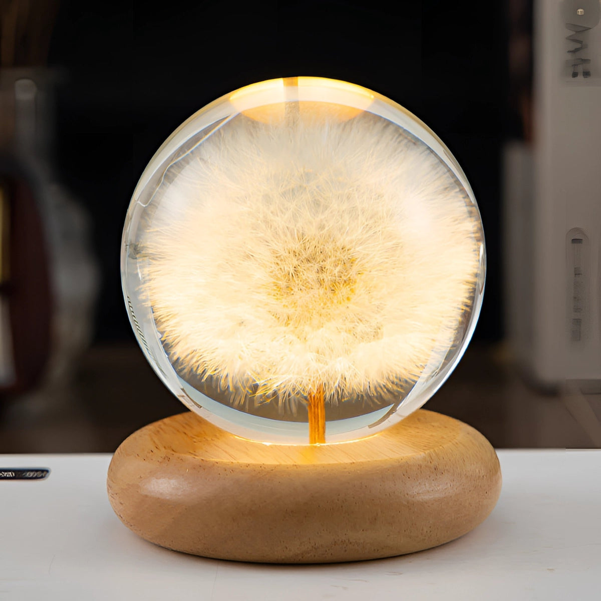 Dandelion Glow Lamp | LED Illuminated Botanical Decor