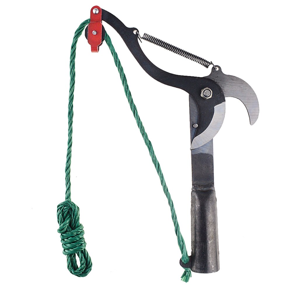 Elevate Your Gardening with Extendable Branch Shears