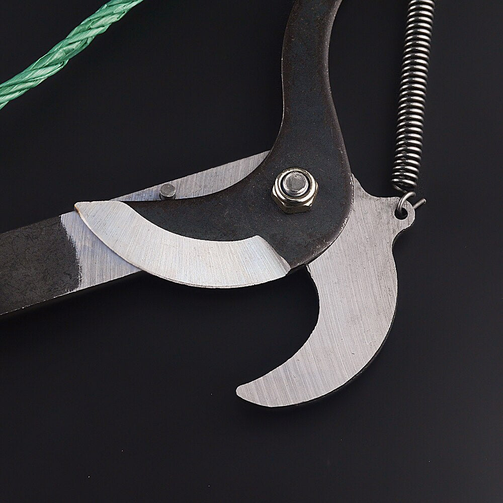 Elevate Your Gardening with Extendable Branch Shears